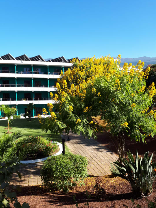 Gartenanlage TRH Taoro Garden