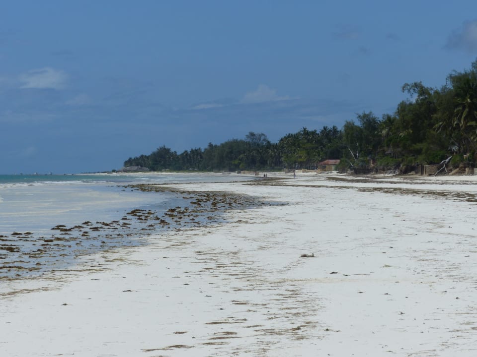 Strand Baobab Beach Resort & Spa