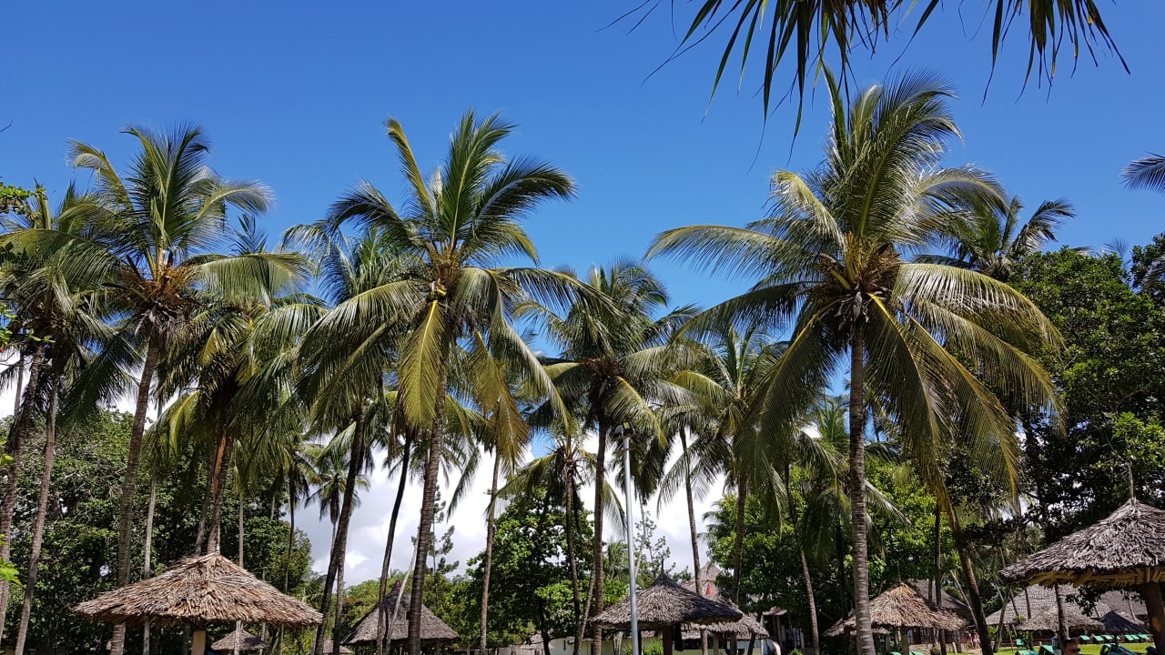 Außenansicht Neptune Village Beach Resort & Spa