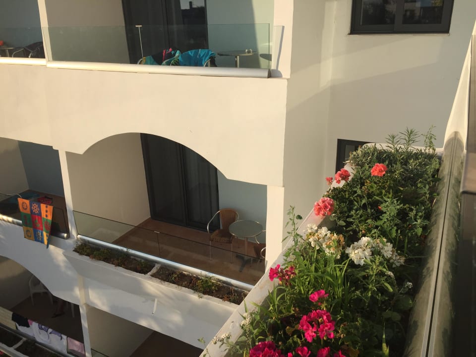 Balkone und Balkonbepflanzung Haupthaus Hotel Tigaki Beach