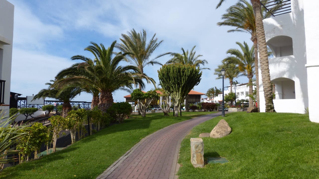Blick Richtung Pool TUI MAGIC LIFE Fuerteventura
