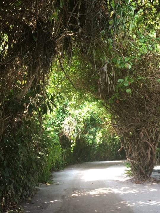 Meedhupparu Adaaran Select Meedhupparu Island Resort - Premium All Inclusive