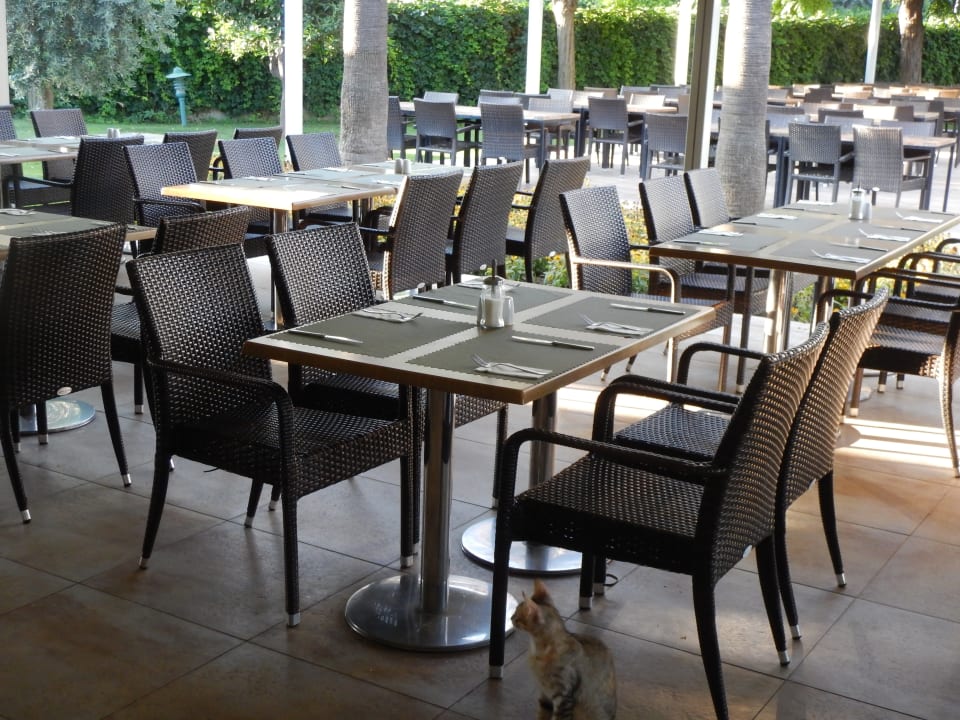 Gastro Barut B Suites