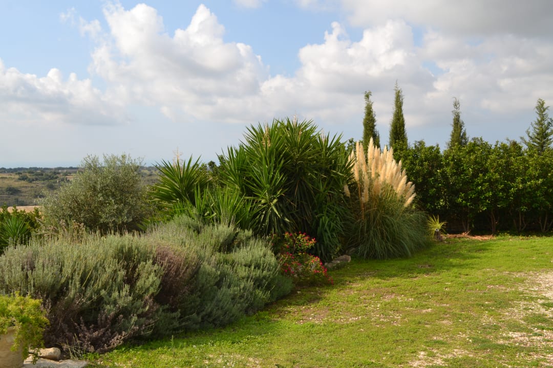 Gartenanlage Antica Masseria Timparuci