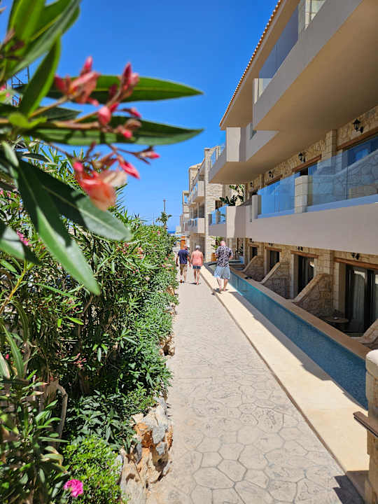 Gartenanlage Cactus Royal