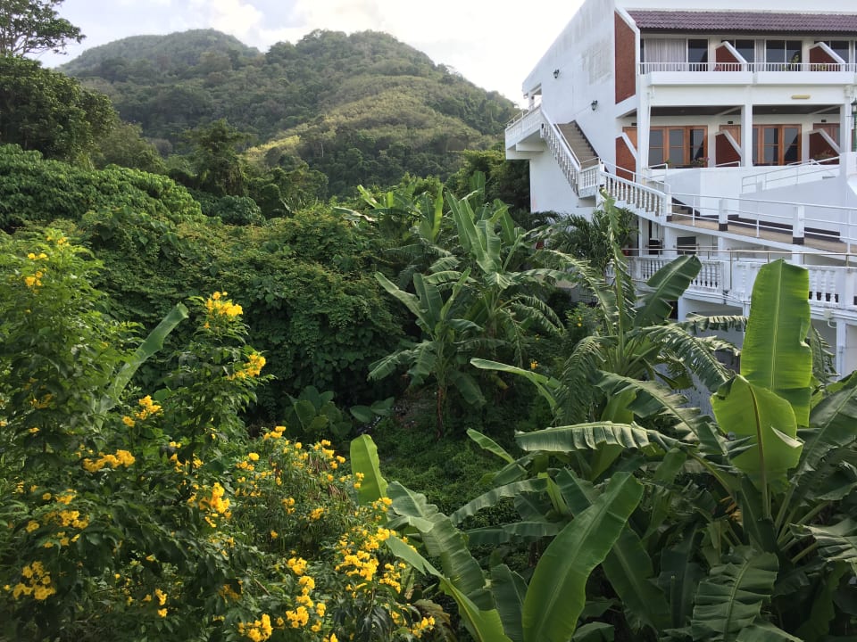 Außenansicht Best Western Phuket Ocean Resort