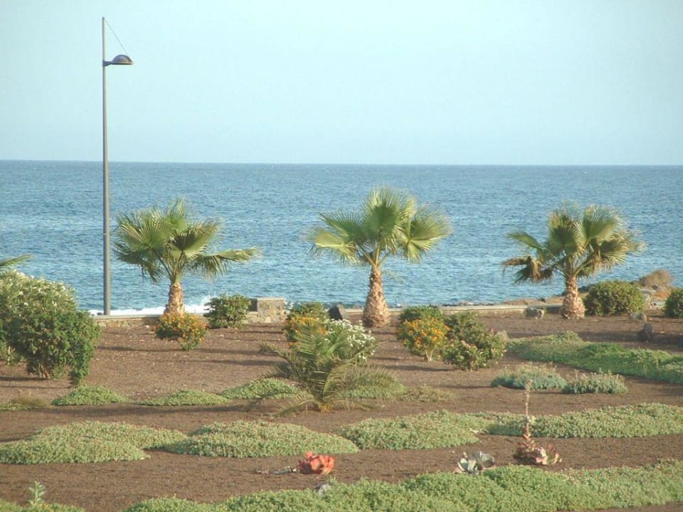Hotelgarten vom Pool aus gesehen Playitas Villas