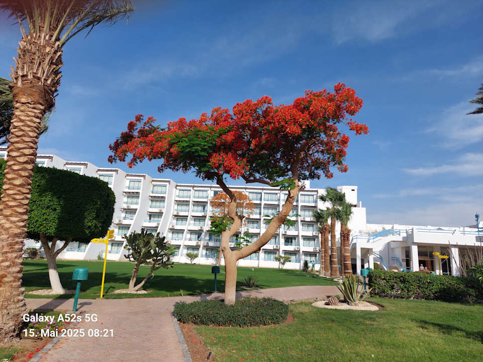 Gartenanlage Shams Safaga Resort