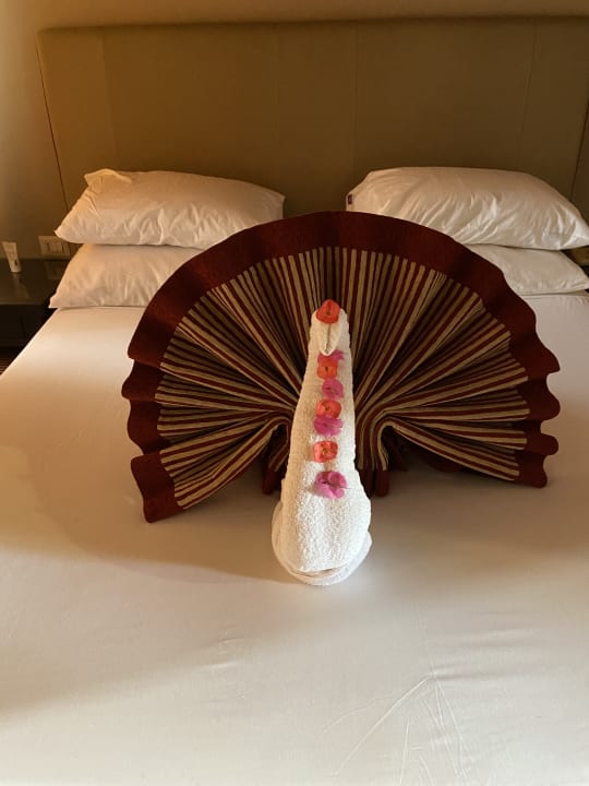 Zimmer Jaz Makadi Oasis Resort