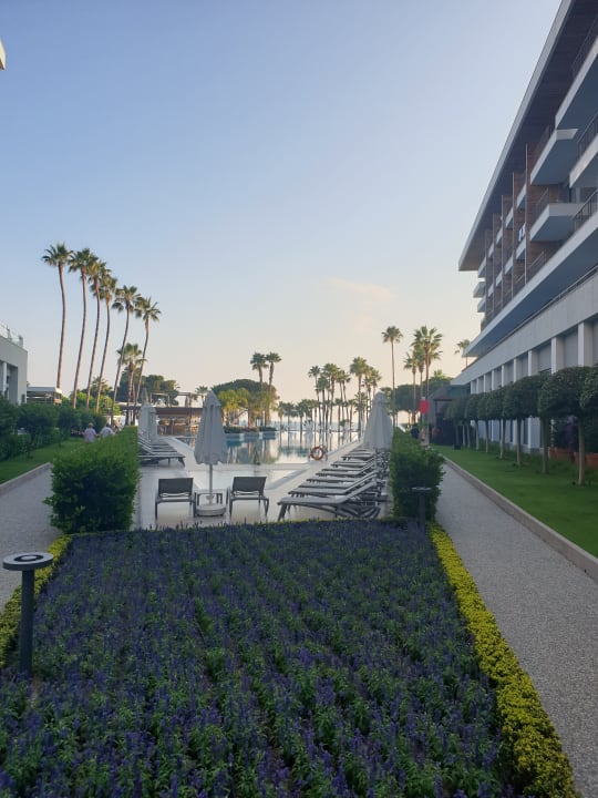 Pool Acanthus Cennet Barut Collection