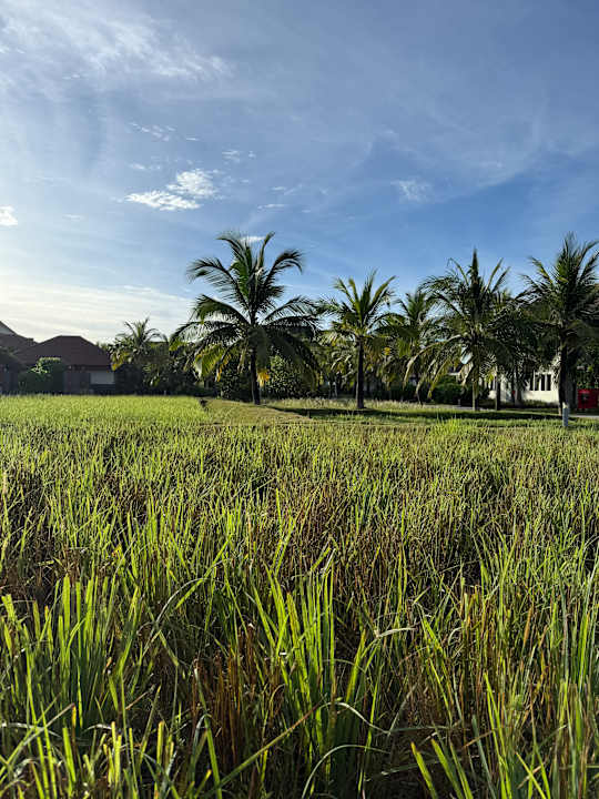 Gartenanlage ROBINSON NAM HOI AN