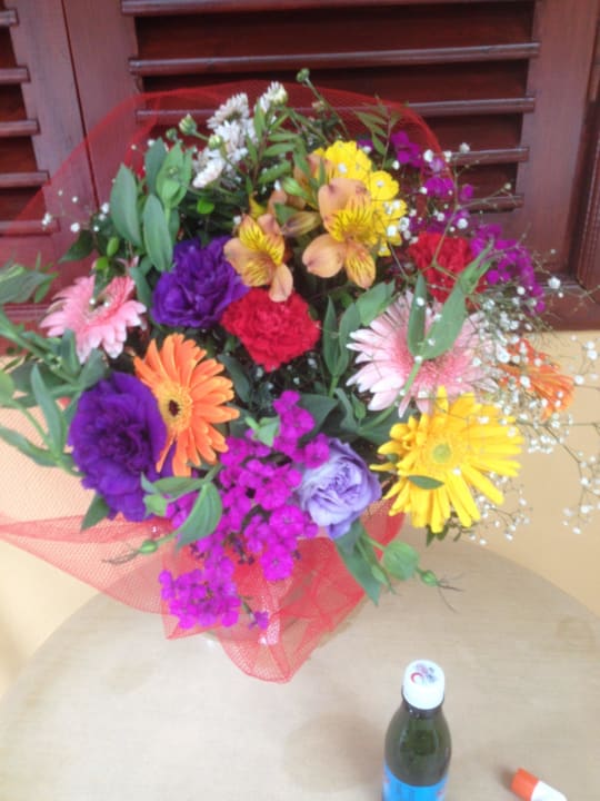 Meine Blumen  Özlem Garden Hotel