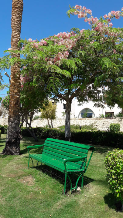 Außenansicht Pickalbatros Royal Grand Resort - Sharm El Sheikh