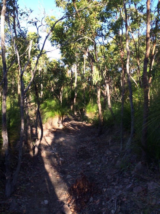 Wanderweg InterContinental Hayman Island Resort
