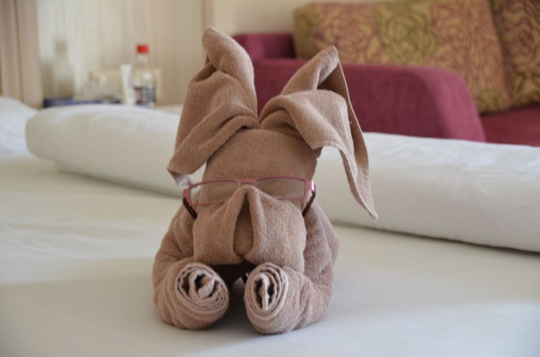 Jeden Tag eine neue Kreation GRIFID Vistamar