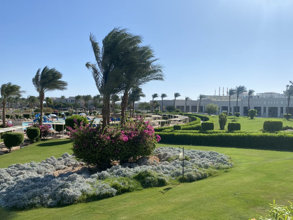 Sonstiges Jaz Aquaviva