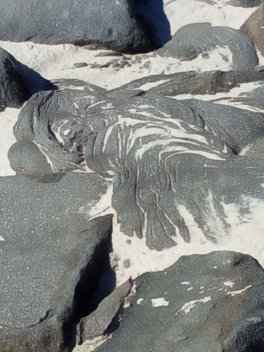 Strand Center Parcs Park Nordseeküste