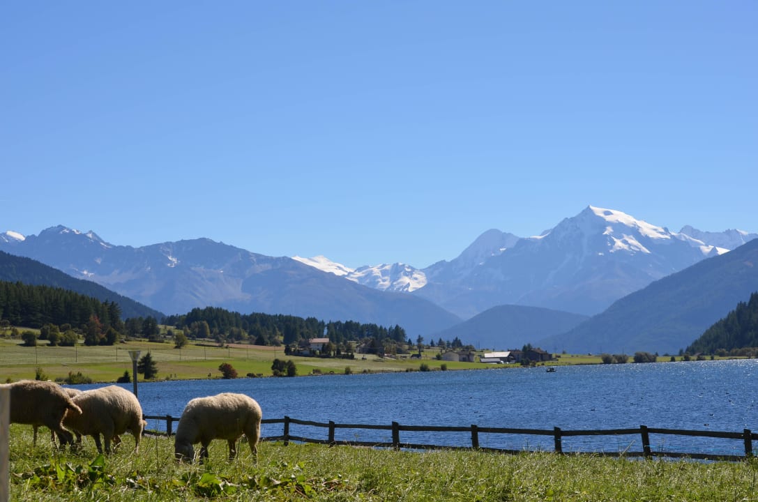 Ausblick vom Zimmerbalkon Garni Irene