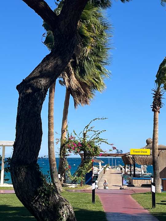 Strand TUI MAGIC LIFE Beldibi +16