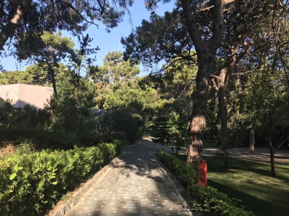 Gartenanlage Blue Waters Club