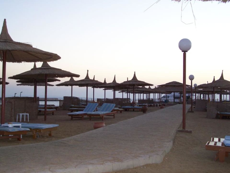 Sonnenaufgang Beach Albatros Resort