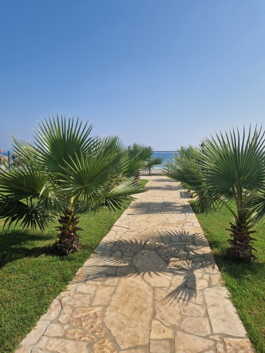 Gartenanlage Club Turtas Beach Hotel