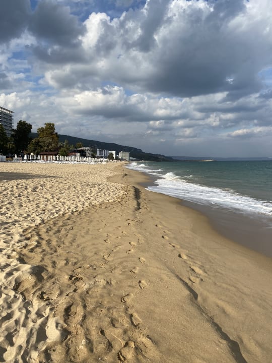 Strand GRIFID Vistamar