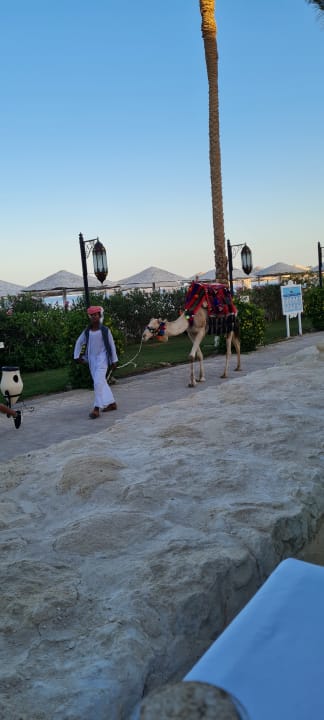 Sport & Freizeit Makadi Spa - Adults only