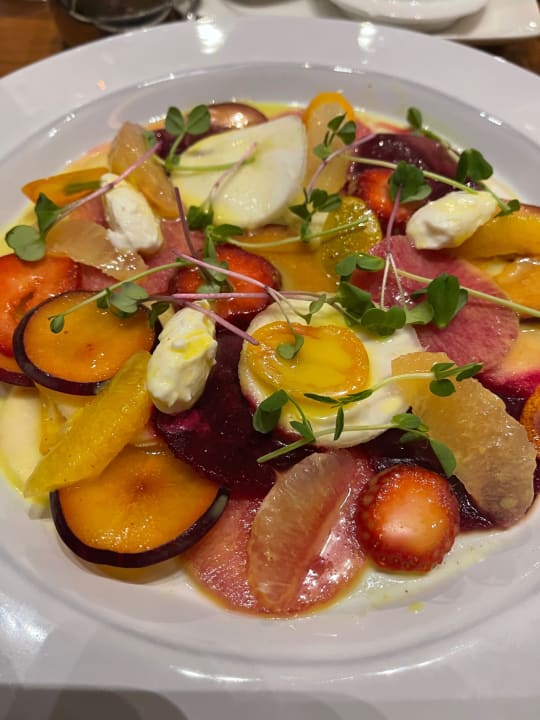 Gastro Acanthus Cennet Barut Collection