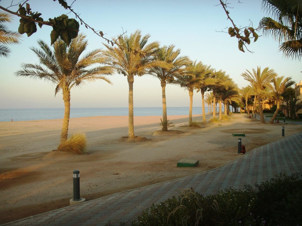 ... von unserer Zimmer-Terrasse Nr. 2009 Steigenberger Coraya Beach - Adults only