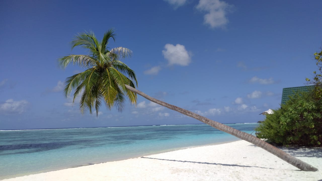 Strand Meeru Maldives Resort Island