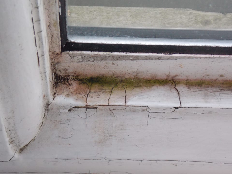 Schimmel im Schlafraum King Solomon Palace Hotel