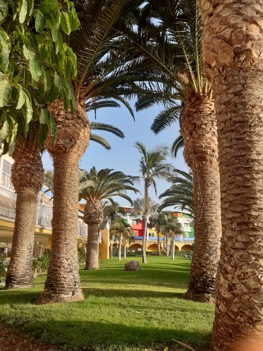 Gartenanlage Club Hotel Drago Park