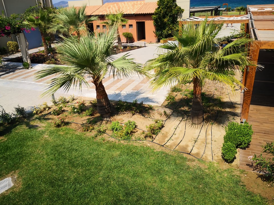 Ausblick Astir Odysseus Kos Resort & Spa