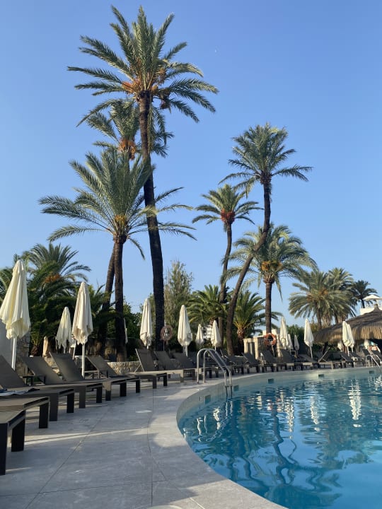 Pool BG Hotel Rei del Mediterrani Palace