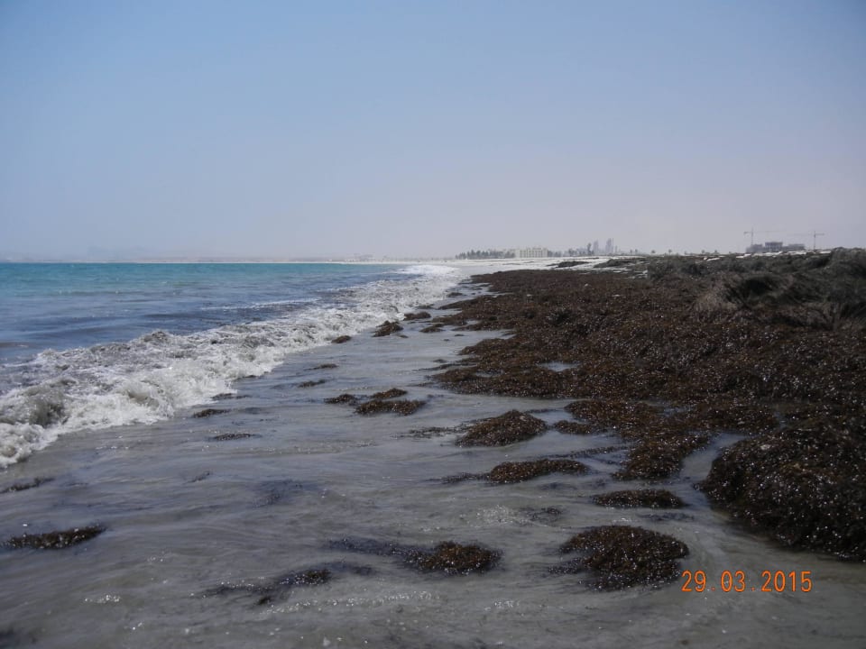 Zum baden mit der Natur Hilton Salalah  Resort