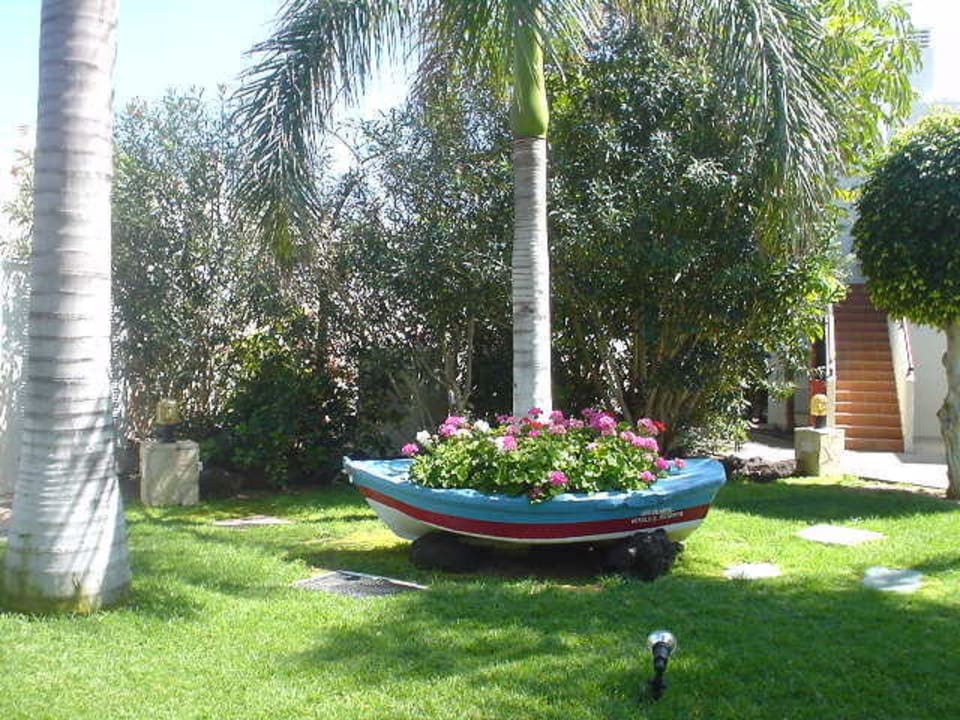 Schön gepflegte Gartenanlage Alua Suites Fuerteventura