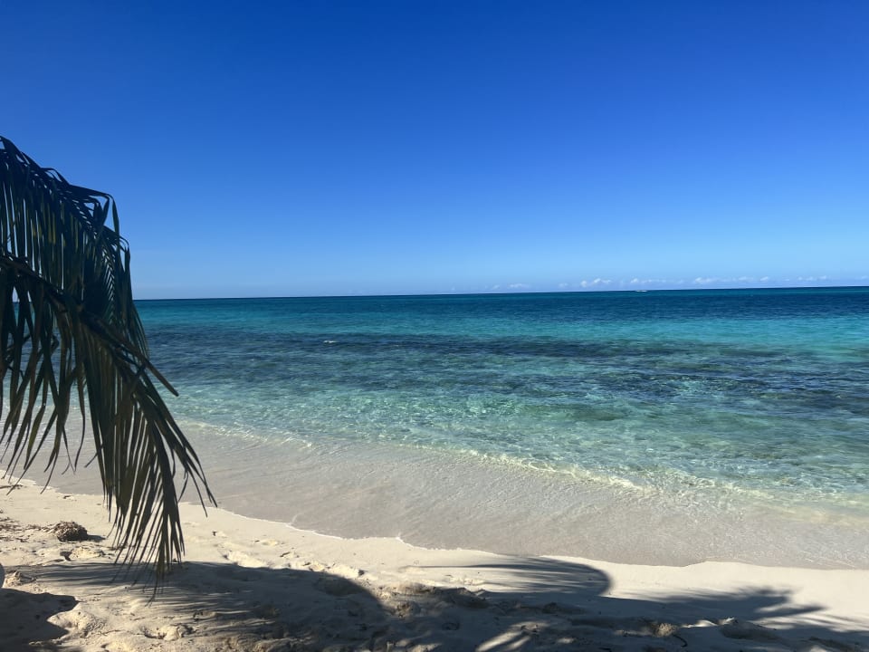 Strand Paradisus Rio de Oro Resort & Spa - Adults only