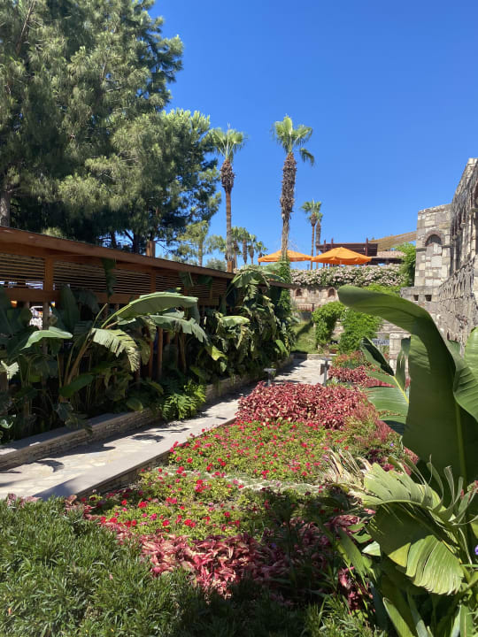 Gartenanlage Arum Barut Collection