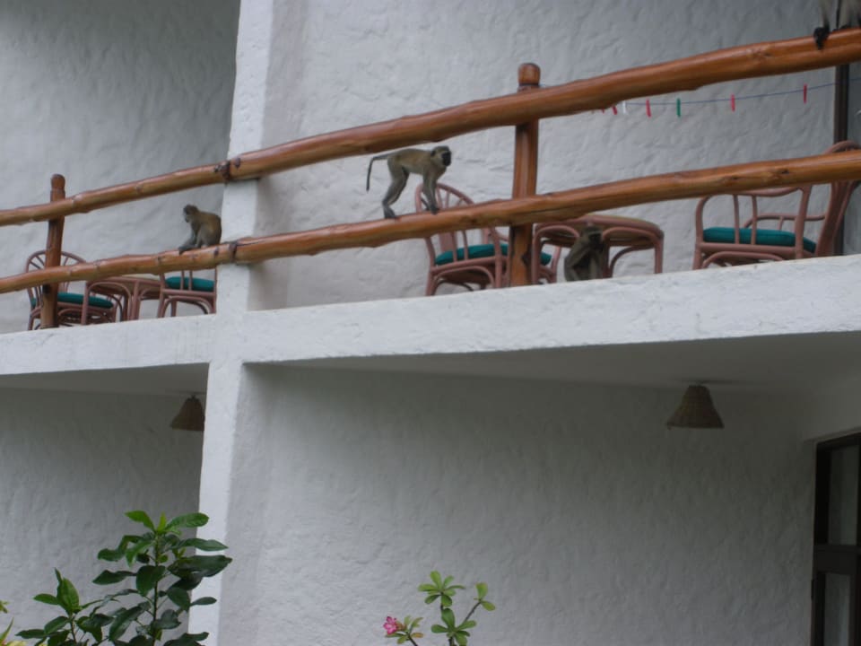 Hotel Traveller's Club Hotel Traveller's Club