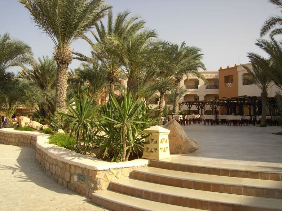 Außenanlage in der Hotelanlage! Vincci Safira Palms