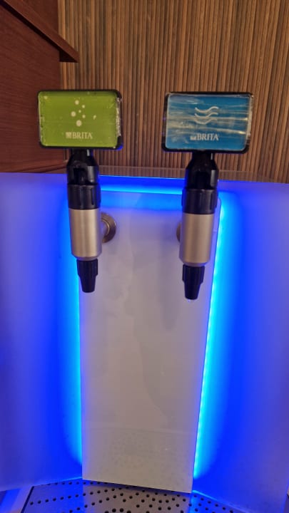 Gastro blau punta reina