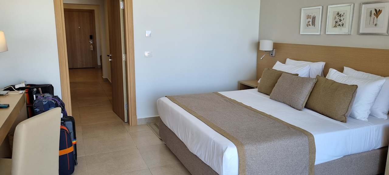 Zimmer JAZ Elite Asteria