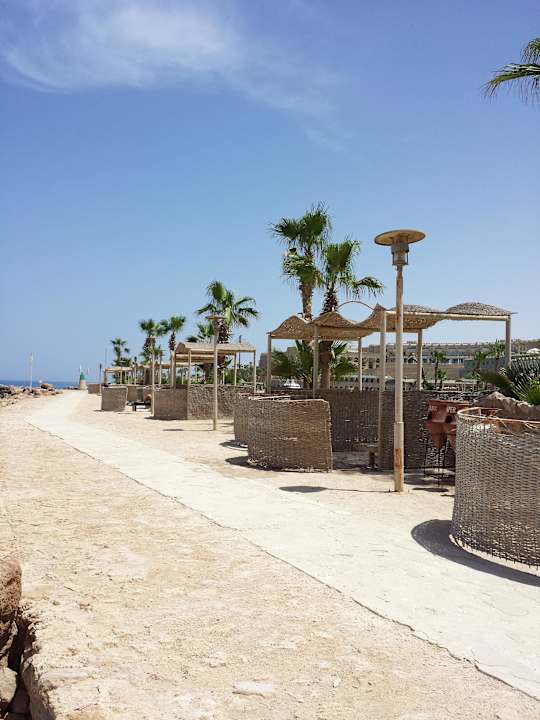 Рядом с морским бассейном Pickalbatros Citadel Resort