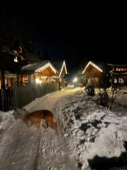 Außenansicht Feriendorf Holzleb'n