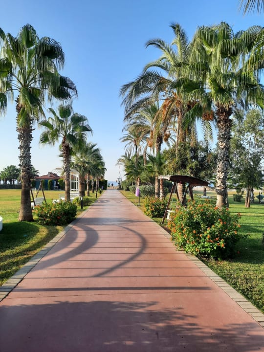 Gartenanlage TUI KIDS CLUB Felicia Village