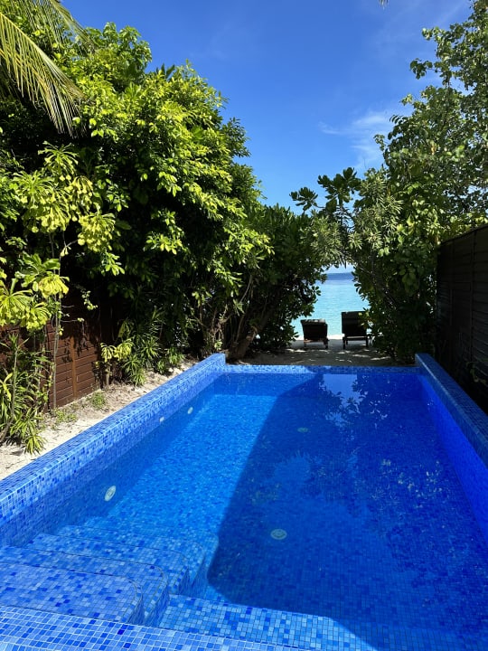 Pool Lily Beach Resort & Spa