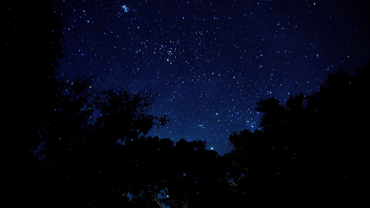 Nachthimmel bei Wolfsong Cabinas Wolfsong Cahuita