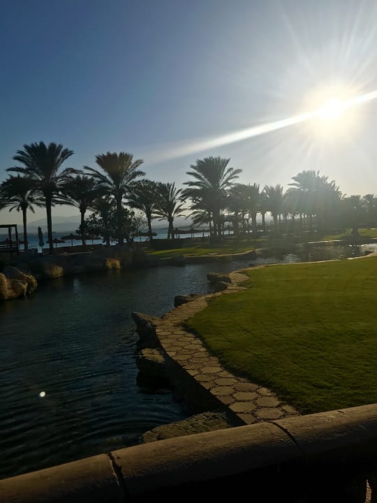 Gartenanlage Palm Royale Resort - Soma Bay