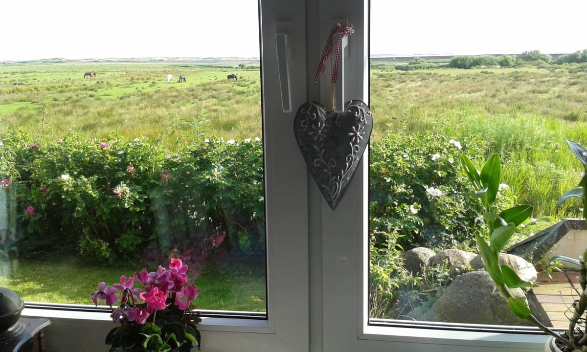 Blick aus dem Frühstücksraum Pension Haus Auguste